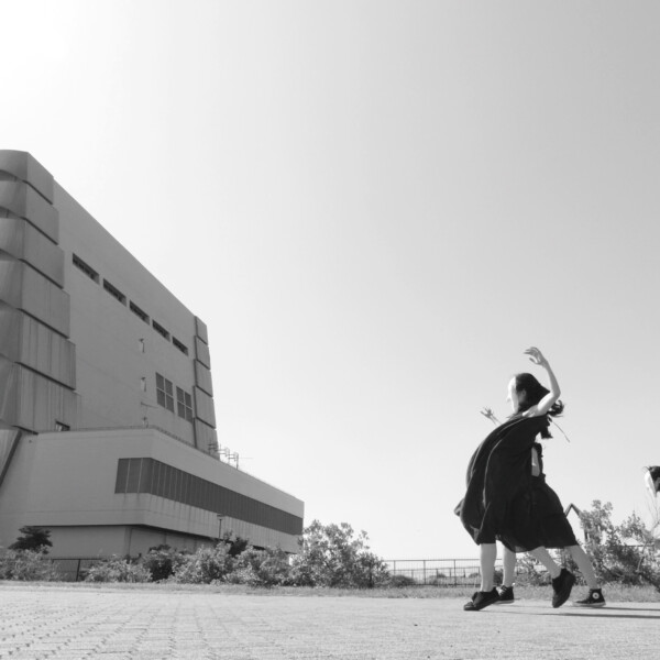 ８日で死んだ怪獣の１２日の物語